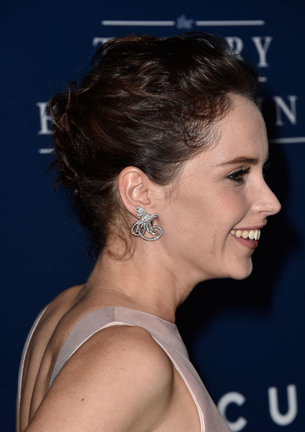  felicity-jones-dior-theory-everything-la-premiere-red-carpet/