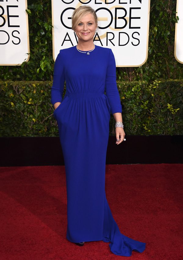 Amy Poehler  in Stella McCartney – 2015 Golden Globe Awards
