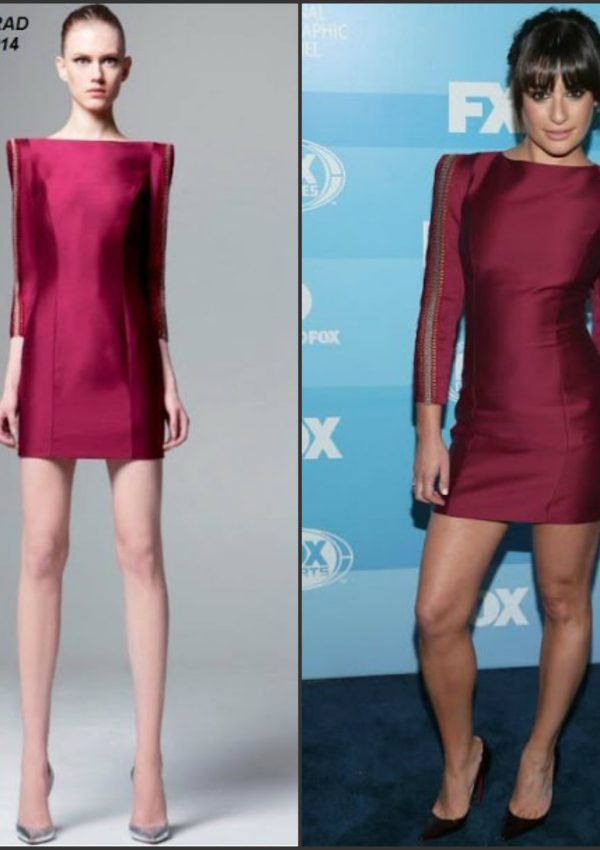 Lea Michele In Zuhair Murad  at  2015 FOX Programming Presentation