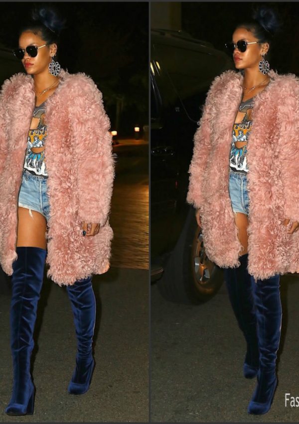 Rihanna attends Travis Scott concert November 2015