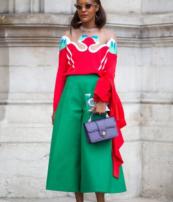 FASHION SIZZLER OF THE DAY : Michelle Elie wears a Delpozo -Paris Fashion Week