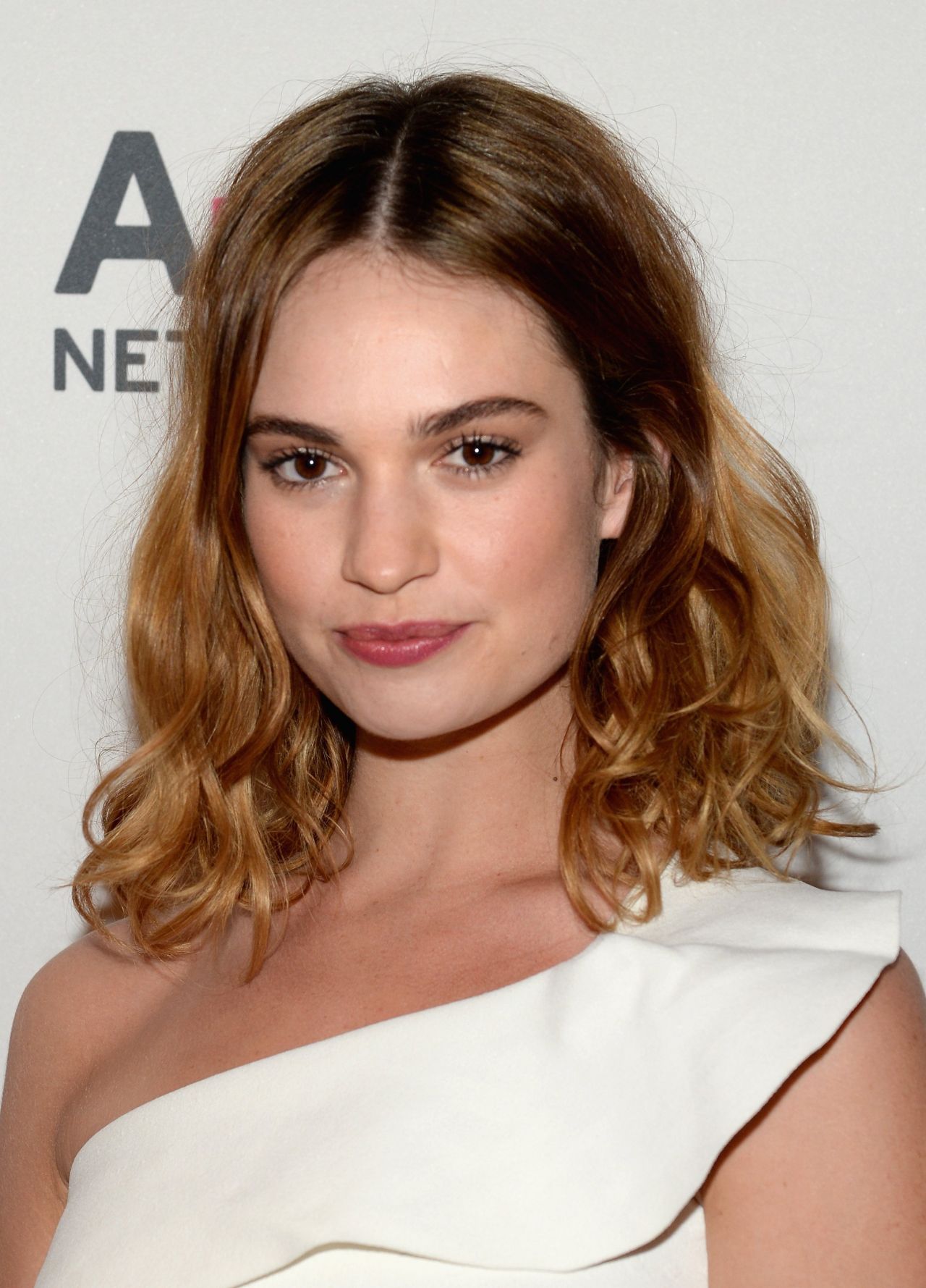 lily-james-a-e-2016-winter-tca-panel-in-pasadena-1