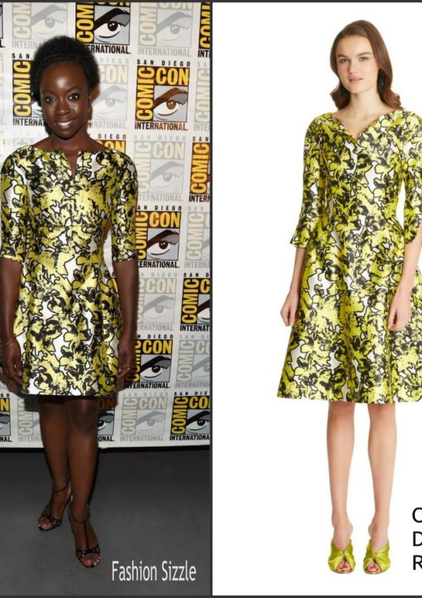 Danai Gurira  In Oscar de la Renta at Black Panther Press line at Comic Con