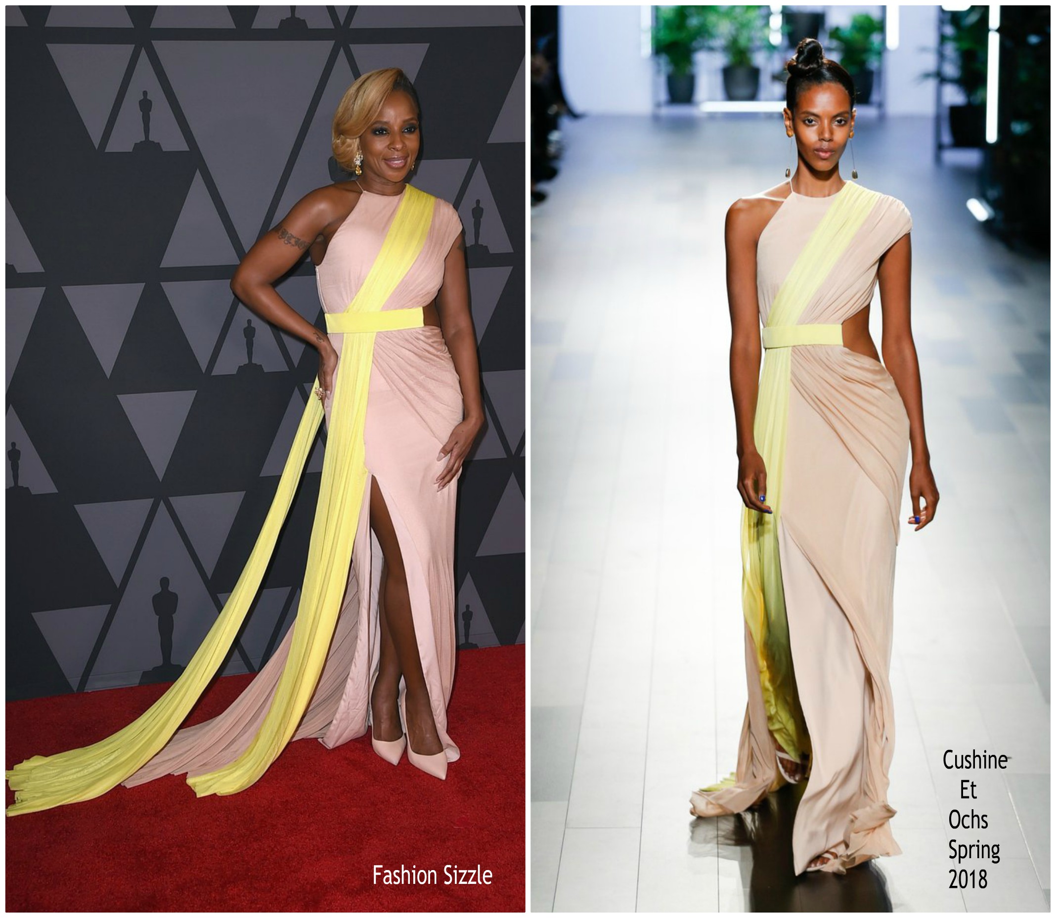 mary-j-blige-in-cushine-et-ochs-academy-of-motion-picyure-arts-sciences-9th-annual-governors-awards