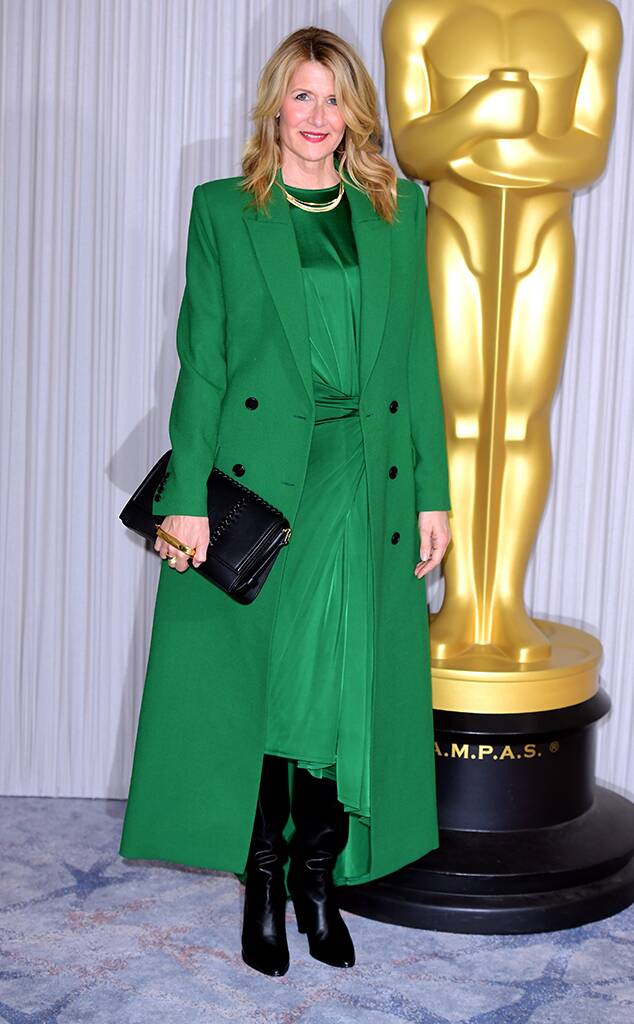 Laura Dern Attends  2020 Academy Nominees Reception in London