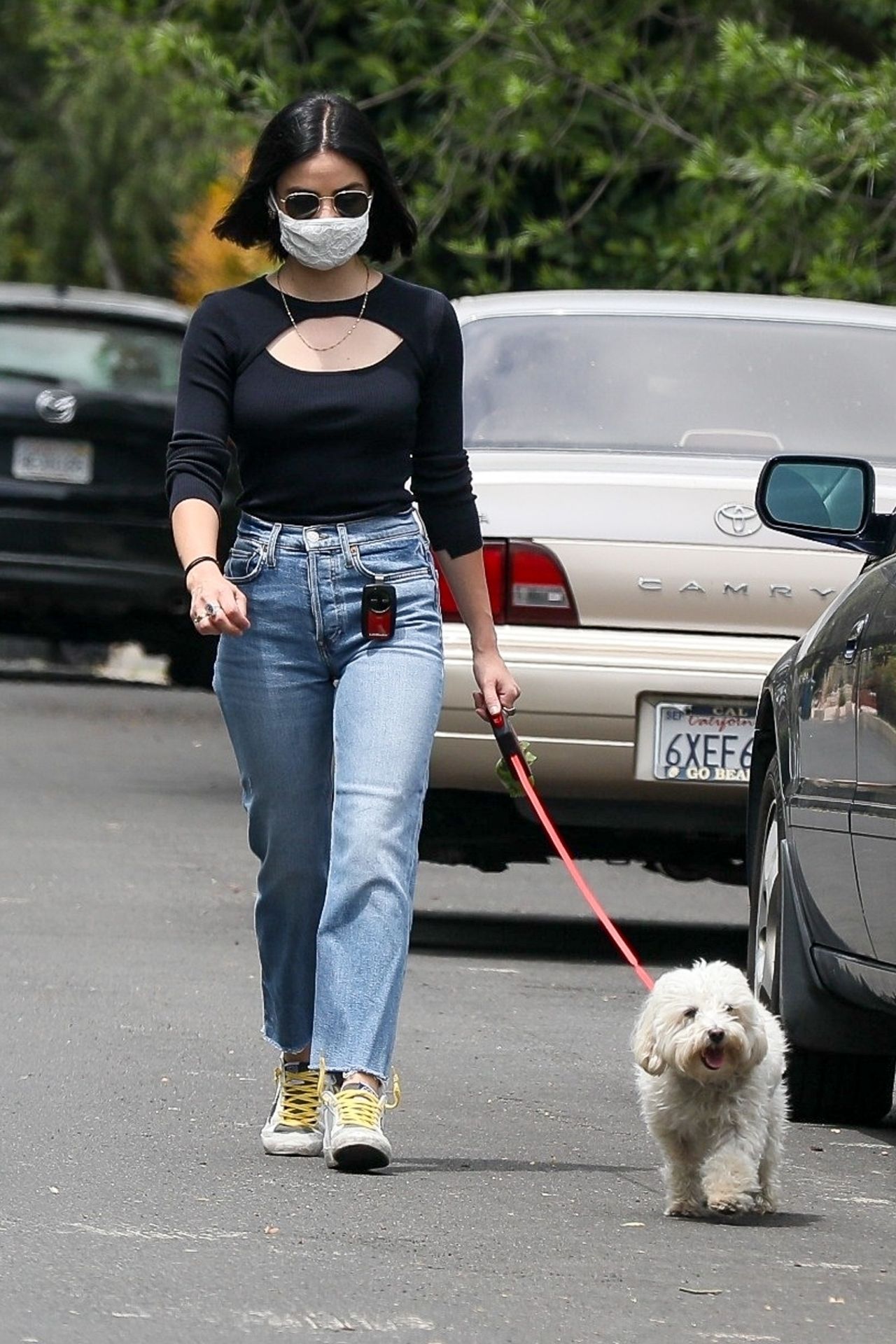 Lucy Hale  Walking Her Dog In  Los Angeles 05/12/2020