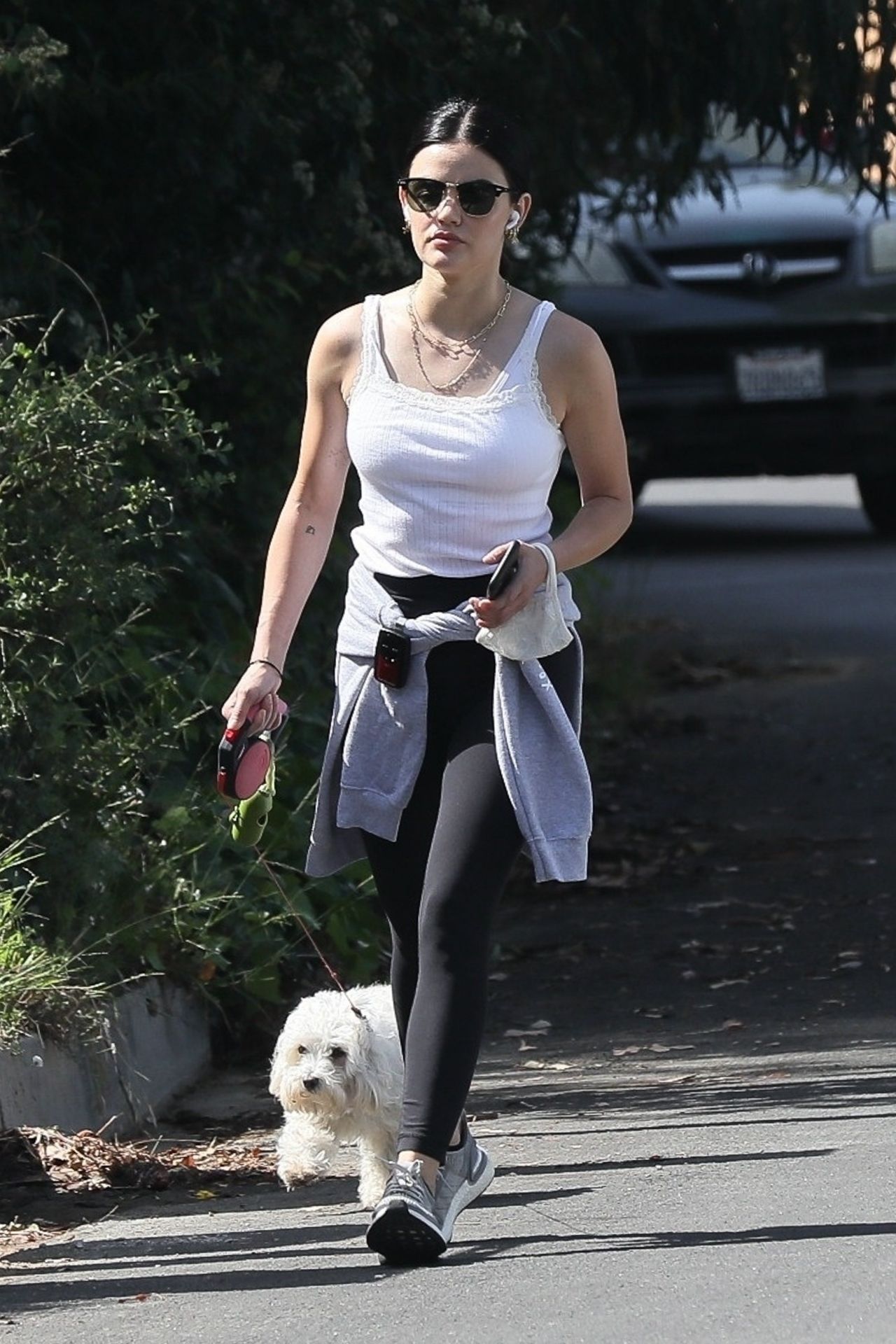 Lucy Hale  Spotted  Walking Her Dog in Studio City 05/17/2020