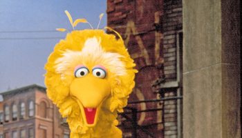 sesame-street-shares-powerful-message-after-george-floyds-death-racism-has-no-place-on-our-street