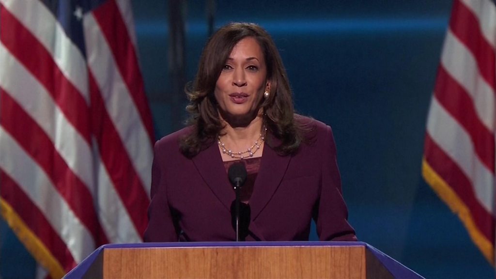 kamala-harris-urges-democrats-dnc-to-create-a-plan-for-voting