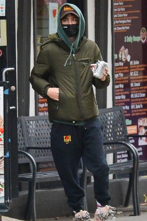timothee-chalamet-wore-a-prada-out-in-new-york-city