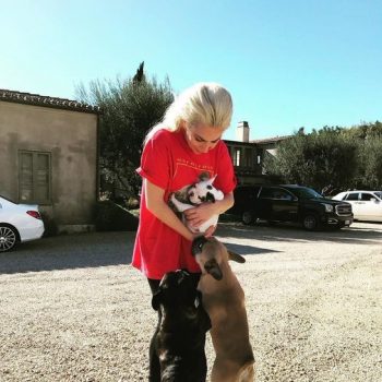 lady-gagas-dogs-recovered-unharmed-at-l-a-police-station