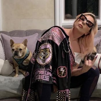 lady-gaga-pleads-for-an-act-of-kindness-and-the-safe-return-of-her-dogs
