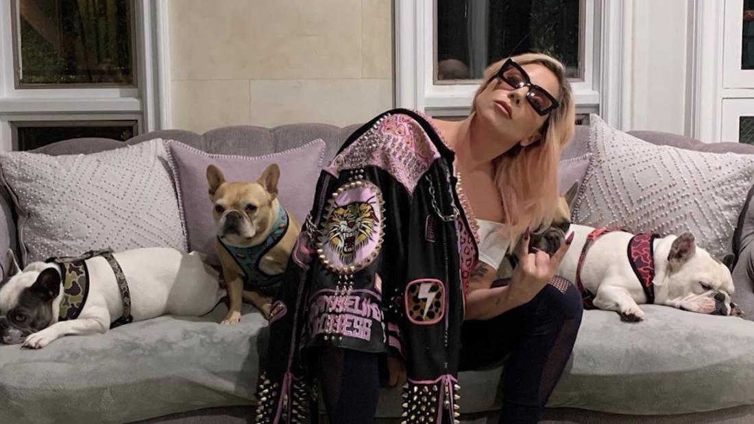 lady-gaga-pleads-for-an-act-of-kindness-and-the-safe-return-of-her-dogs