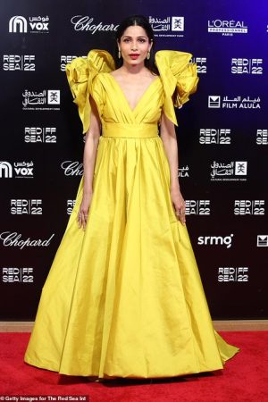 freida-pinto-wore-elie-saab-whats-love-got-to-do-with-it-red-sea-int-film-festival