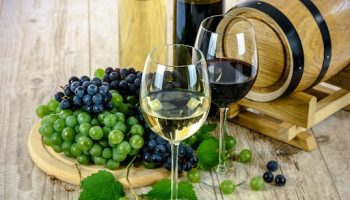 why-winery-tours-are-an-excellent-choice-for-your-next-trip
