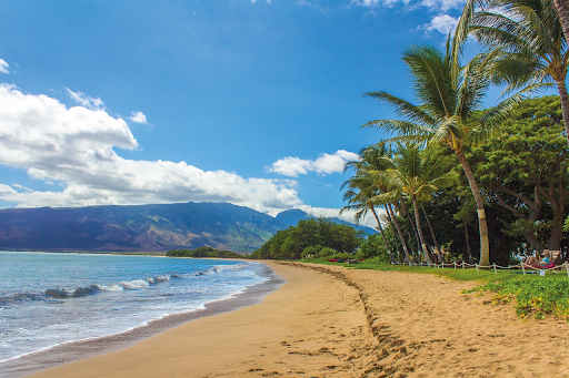 Beaches, Sunsets, And More: Getting The Most Of Hawaii’s Scenic Beauty
