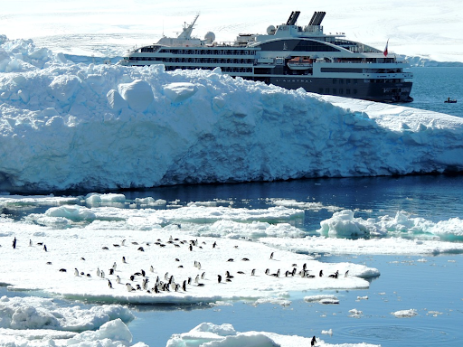 How to Prepare for a Once-in-a-Lifetime Antarctic Cruise