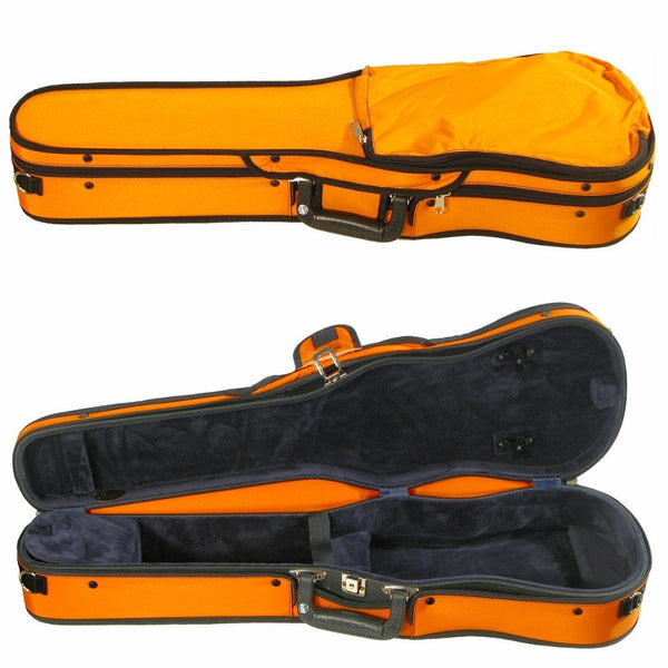 Selecting your Violin Case In Style